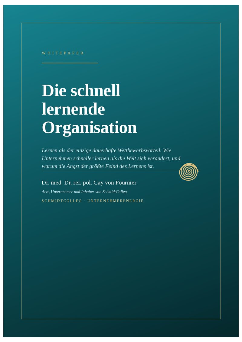Lernende Organisation